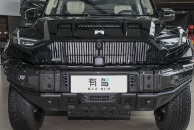 2025款 增程蛟龙战甲加长版-外观-图片-有驾