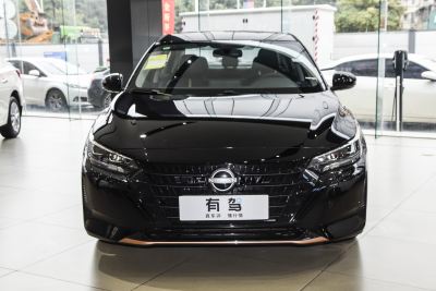 2026款 1.6L CVT黑金版-外观-图片-有驾