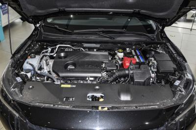 2026款 1.6L CVT黑金版-外观-图片-有驾