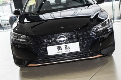 2026款 1.6L CVT黑金版-外观-图片-有驾