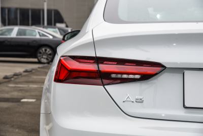 2024款 Sportback 40 TFSI quattro 豪华动感型-外观-图片-有驾