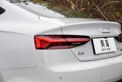 2024款 Sportback 40 TFSI quattro 豪华动感型-外观-图片-有驾