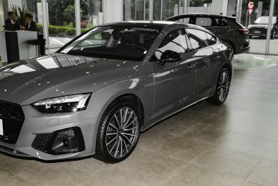 2024款 Sportback 40 TFSI quattro 豪华动感型-外观-图片-有驾