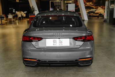 2024款 Sportback 40 TFSI quattro 豪华动感型-外观-图片-有驾