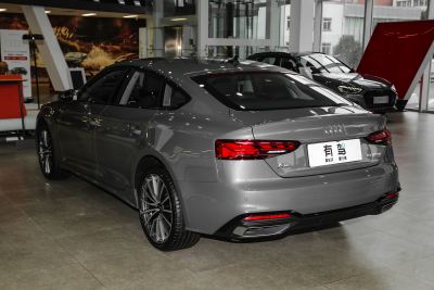 2024款 Sportback 40 TFSI quattro 豪华动感型-外观-图片-有驾