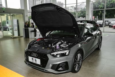 2024款 Sportback 40 TFSI quattro 豪华动感型-外观-图片-有驾