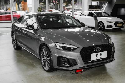 2024款 Sportback 40 TFSI quattro 豪华动感型-外观-图片-有驾