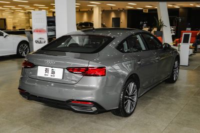 2024款 Sportback 40 TFSI quattro 豪华动感型-外观-图片-有驾
