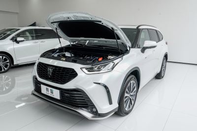 2024款 2.5L HEV四驱旗舰版-外观-图片-有驾