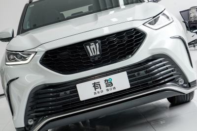 2024款 2.5L HEV四驱旗舰版-外观-图片-有驾