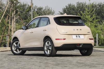 2025款 430km 尊荣型-外观-图片-有驾