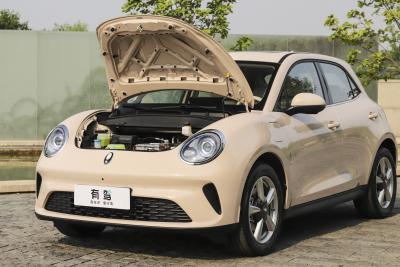 2025款 430km 尊荣型-外观-图片-有驾