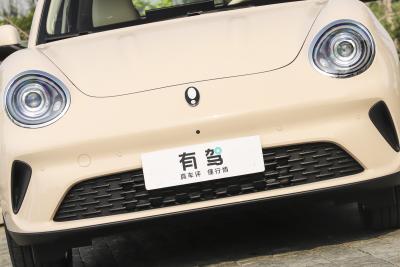 2025款 430km 尊荣型-外观-图片-有驾