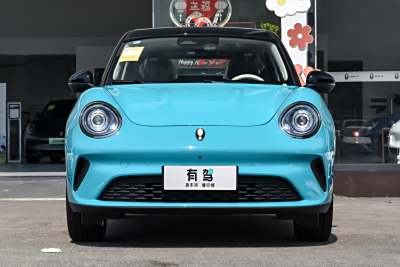 2025款 430km 尊荣型-外观-图片-有驾