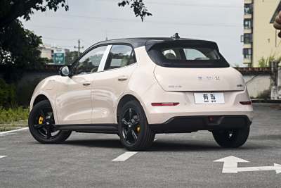 2025款 430km 尊荣型-外观-图片-有驾