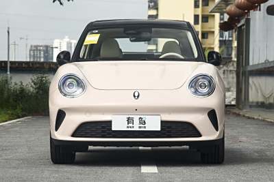 2025款 430km 尊荣型-外观-图片-有驾