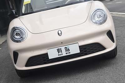 2025款 430km 尊荣型-外观-图片-有驾