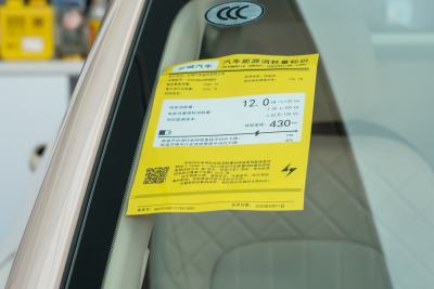 2025款 430km 尊荣型-外观-图片-有驾