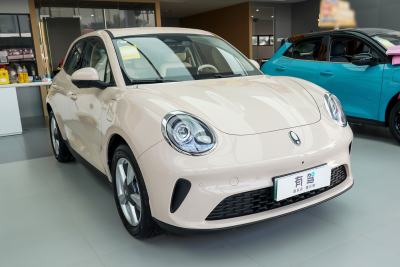 2025款 430km 尊荣型-外观-图片-有驾