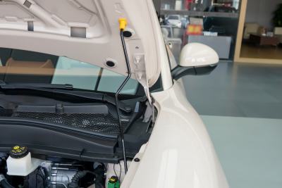 2025款 430km 尊荣型-外观-图片-有驾