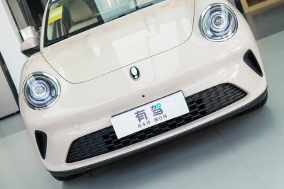 2025款 430km 尊荣型-外观-图片-有驾