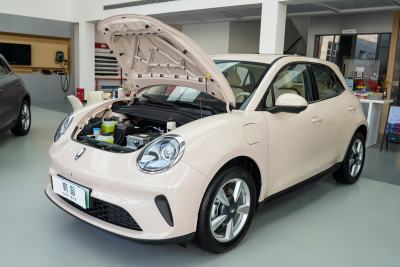 2025款 430km 尊荣型-外观-图片-有驾