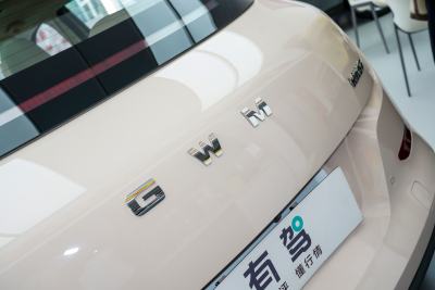 2025款 430km 尊荣型-外观-图片-有驾