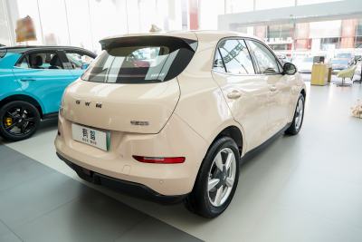 2025款 430km 尊荣型-外观-图片-有驾