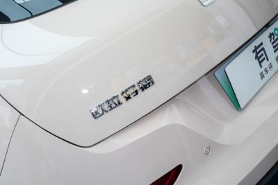 2025款 430km 尊荣型-外观-图片-有驾