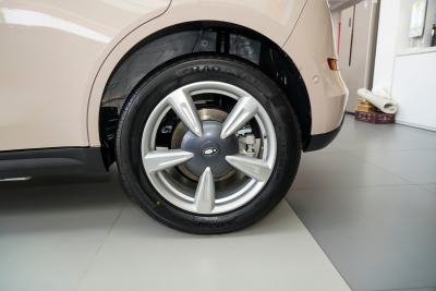 2025款 430km 尊荣型-外观-图片-有驾