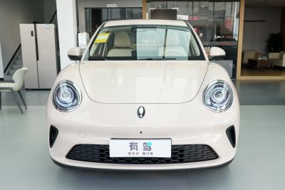 2025款 430km 尊荣型-外观-图片-有驾