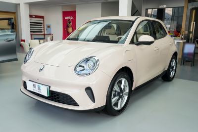 2025款 430km 尊荣型-外观-图片-有驾