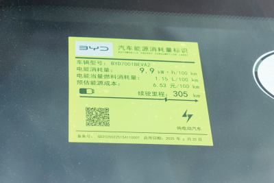 2025款 智驾版 305km 活力版-外观-图片-有驾
