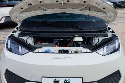2025款 智驾版 305km 活力版-外观-图片-有驾