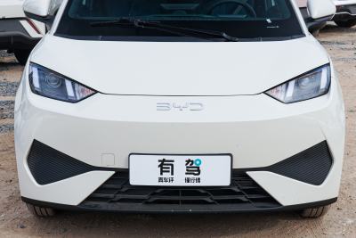 2025款 智驾版 305km 活力版-外观-图片-有驾