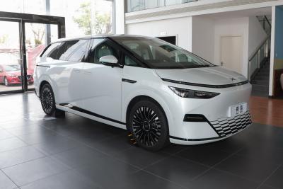 2025款 650长续航 Max-外观-图片-有驾