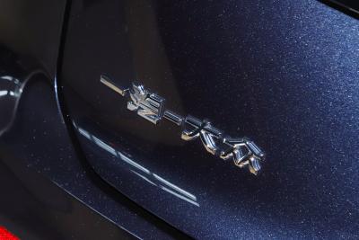 2024款 330TSI 两驱尊贵高能版-外观-图片-有驾 2024款 330TSI 两驱尊贵高能版-外观-图片-有驾