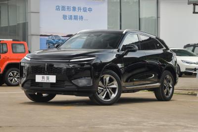 2023款 两驱长续航版-外观-图片-有驾