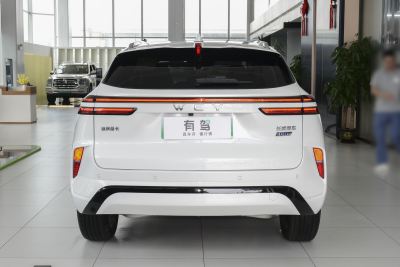 2023款 两驱长续航版-外观-图片-有驾