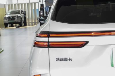 2023款 两驱长续航版-外观-图片-有驾