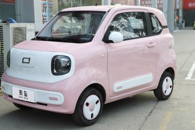 2025款 222km 灵动马-外观-图片-有驾