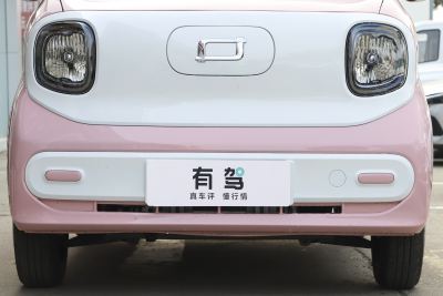 2025款 222km 灵动马-外观-图片-有驾