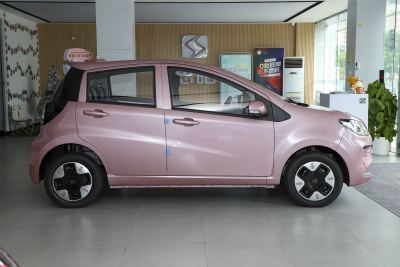 2023款 301km 四叶草 36kW-外观-图片-有驾