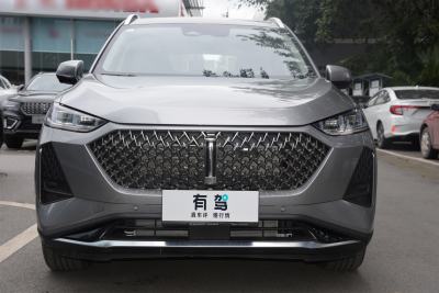 2021款 1.5L DHT特调版-外观-图片-有驾