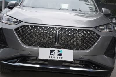 2021款 1.5L DHT特调版-外观-图片-有驾