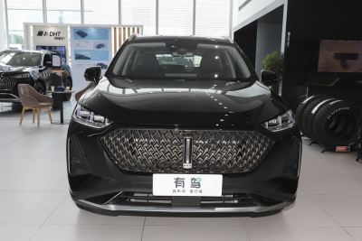 2021款 1.5L DHT特调版-外观-图片-有驾