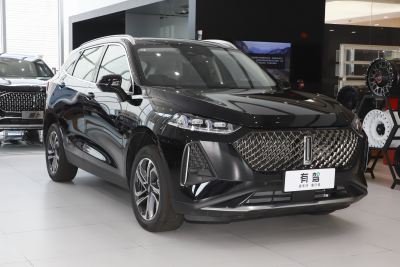 2021款 1.5L DHT特调版-外观-图片-有驾