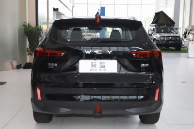 2021款 1.5L DHT特调版-外观-图片-有驾