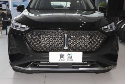 2021款 1.5L DHT特调版-外观-图片-有驾