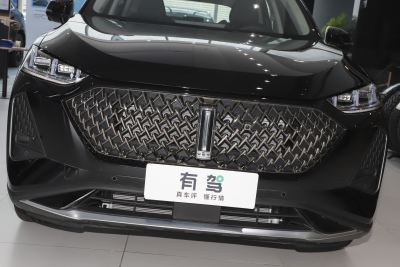 2021款 1.5L DHT特调版-外观-图片-有驾